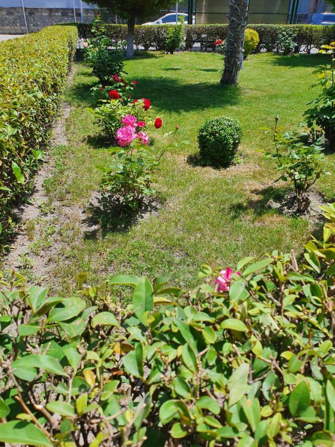 Sheki Avtovagzal Motel Kültér fotó
