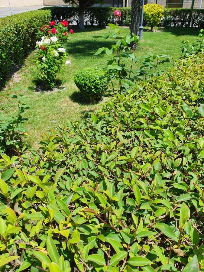 Sheki Avtovagzal Motel Kültér fotó
